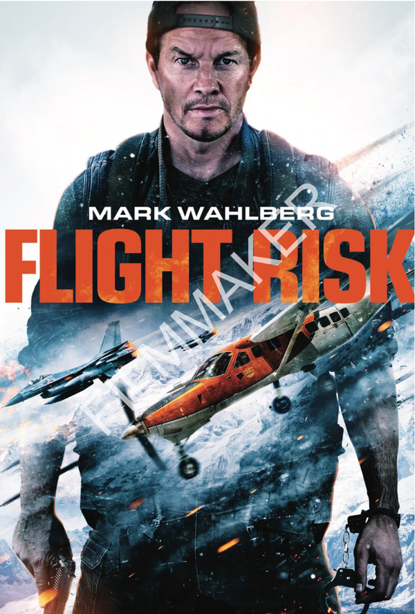 Flight Risk (Blu-ray/DVD Combo)